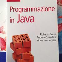Libro Programmazione in Java - APOGEO