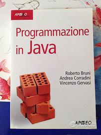 Libro Programmazione in Java - APOGEO