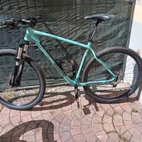 Bici mtb
