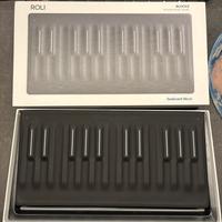 Roli seaboard block