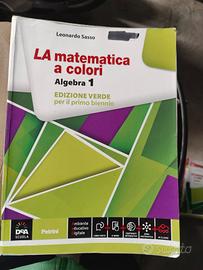 libro LA matematica a colori Algebra 1 ed. verde