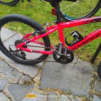 Bicicletta mtb ragazzo 20" Rockrider ST900