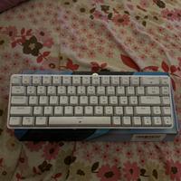 Dierya, Switch Rossi Lineari (tastiera da gaming)