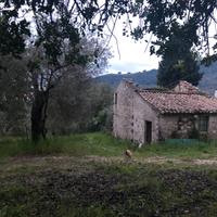 Terreno edificabile con casa