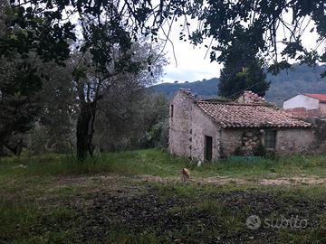 Terreno edificabile con casa