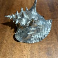 Seletti Helter Shelter