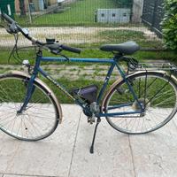 Bottecchia Verde Natura