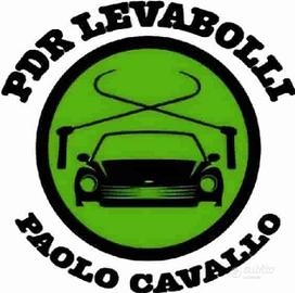 levabolli per auto 