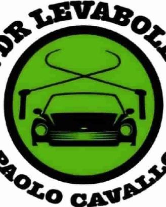 levabolli per auto 