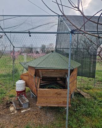 Pollaio Nuovo mai usato