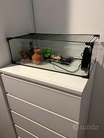 🐠 Acquario completo con pompa e accessori