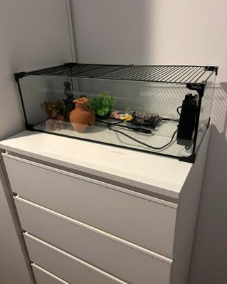 🐠 Acquario completo con pompa e accessori