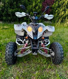 POLARIS PREDATOR 500 troy lee