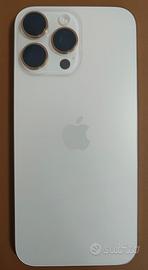 iPhone 16 Pro Max 256GB  Batteria 100% + Accessori