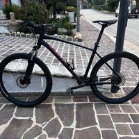 Mountain Bike Specialized