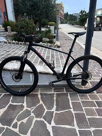 Mountain Bike Specialized