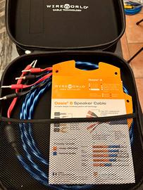 cavi di potenza WireWorld Oasis 8 BI Wire