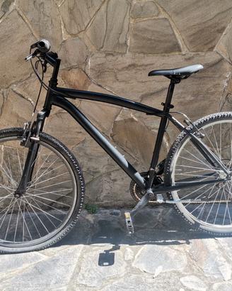 MTB bici Denver