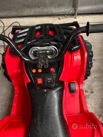 Quad elettrico