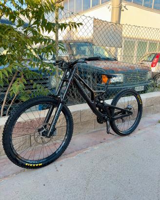 santa cruz v10