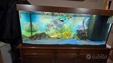acquario 450 litri 
