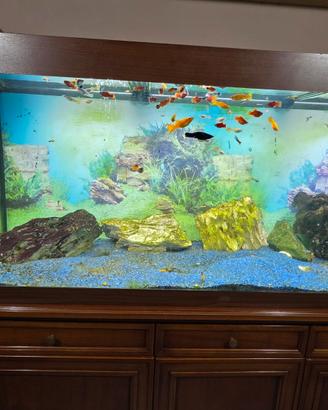 acquario 450 litri 