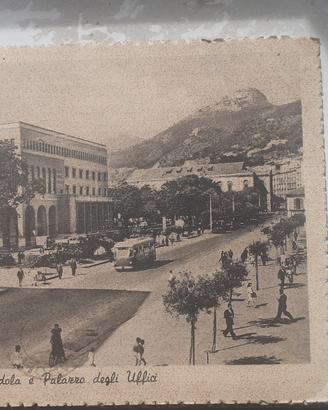 cartolina 