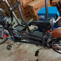 bicicletta 2 posti 
