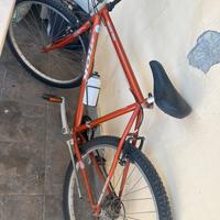 Bicicletta