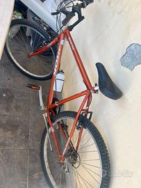 Bicicletta