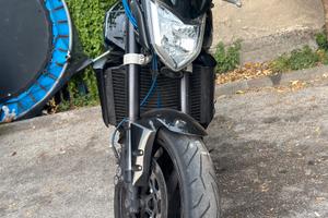 Fz1 2007