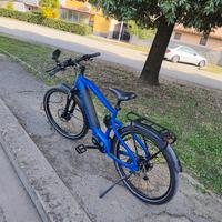 bici a pedalata assistita