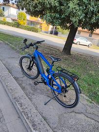 bici a pedalata assistita