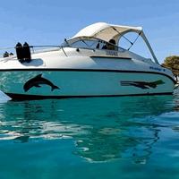 Barca cabinata -motore-carrello