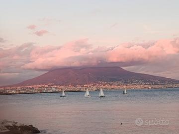 Ristoraz,pulizie,babysitter,?sitter,(Nap centro)