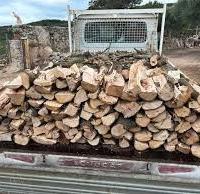 legna da ardere di montagna leccio quercia 