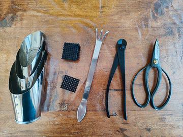 kit per bonsai