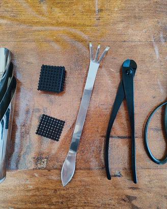 kit per bonsai