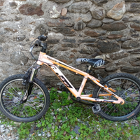 Bici 20 e 24 pollici