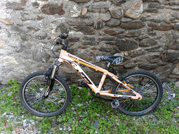 Bici 20 e 24 pollici