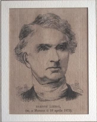 Stampe Antiche Ritratti 1873