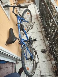 Bicicletta 