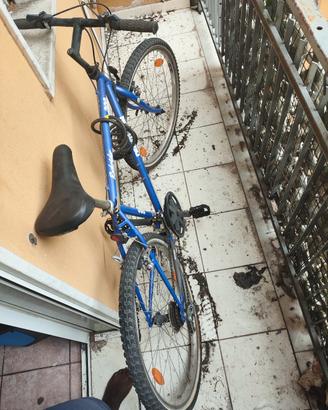 Bicicletta 
