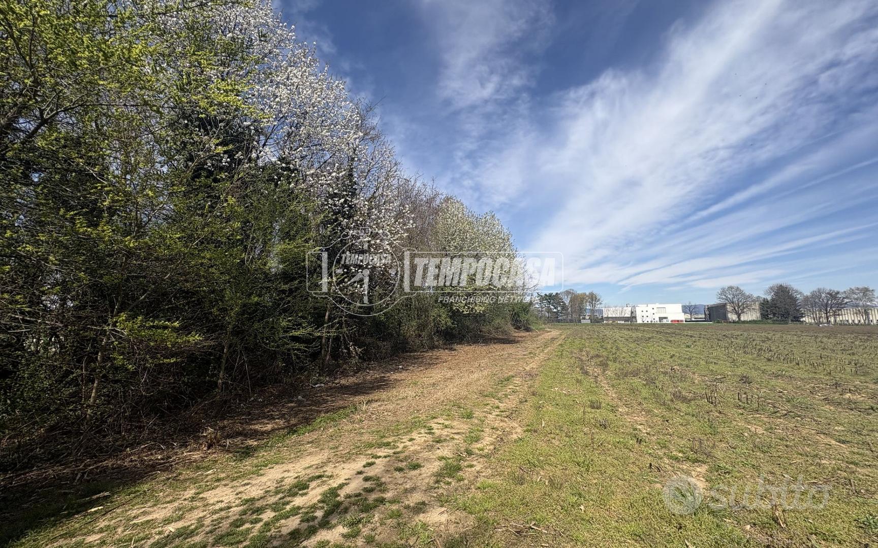 TERRENO BOSCHIVO - Vista 5