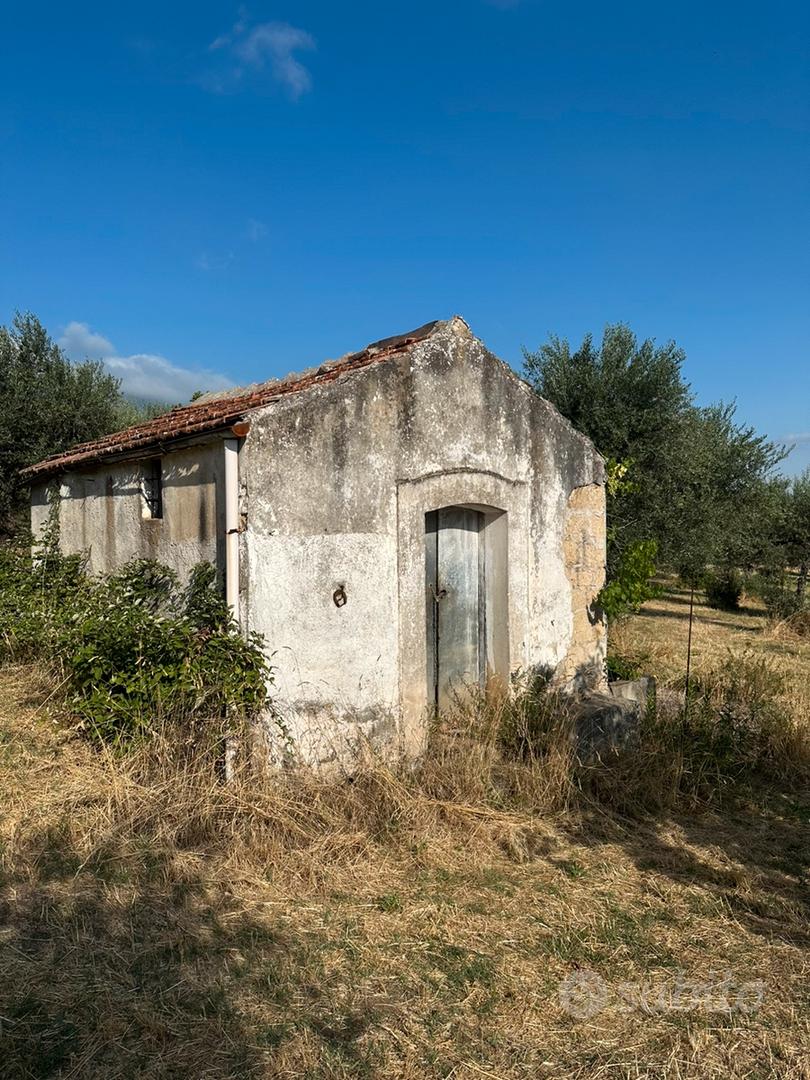 Barile Zona Macarico Uliveto con Torre - Vista 3