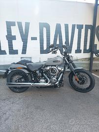 Harley-davidson Softail Street Bob - 2025