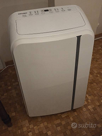 Climatizzatore mobile