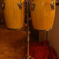 Mini congas