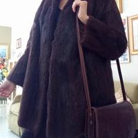 Pelliccia in castorino