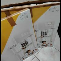 cancelletto bambini o animali + estensiome